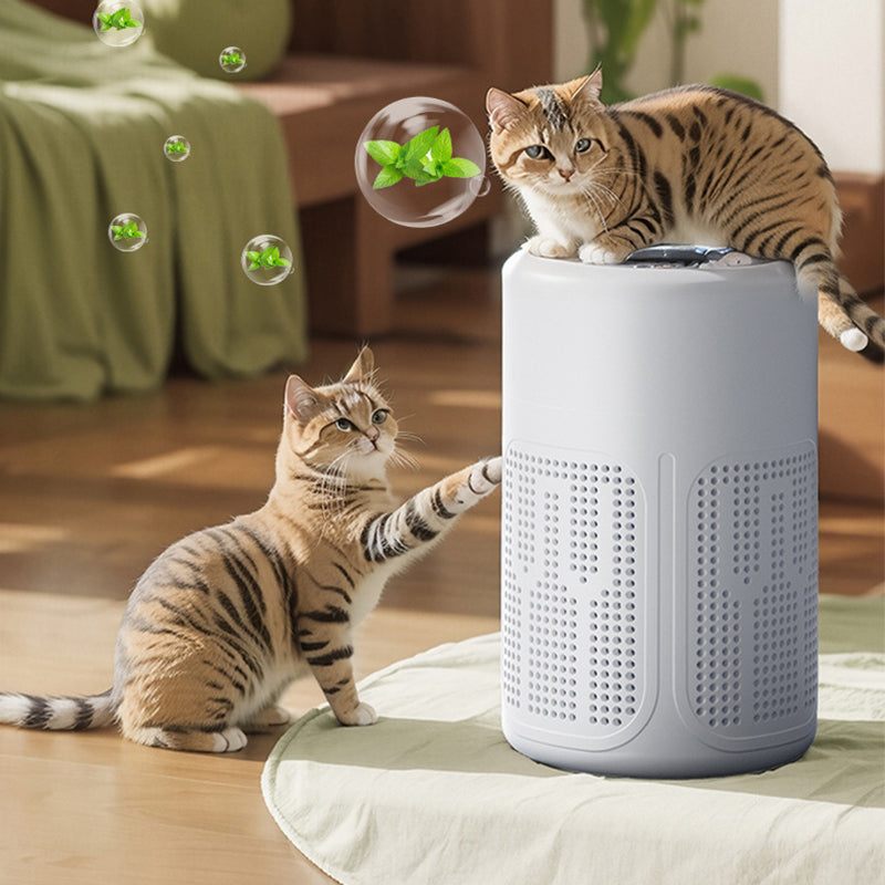 Silent Air Purifier – Multi‑layer filtration, ultra‑quiet sleep mode. Covers 30‑50m², one‑touch operation. Breathe clean, rest easy. No more sneezing at night! 🛌✨